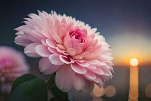 a pink flower with a sunset in the background. AI-Generated photo