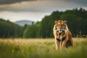 a tiger walking through a field. AI-Generated photo