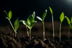 un grupo de joven plantas creciente en el suciedad. generado por ai foto