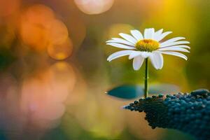 a single daisy is standing on top of a rock. AI-Generated photo