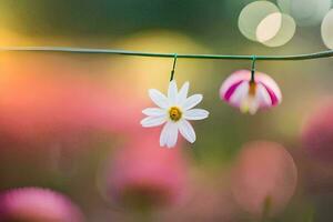 two daisies are hanging on a wire. AI-Generated photo