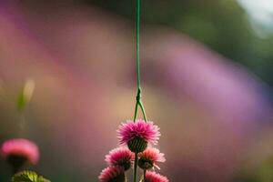 a pink flower hanging from a green string. AI-Generated photo