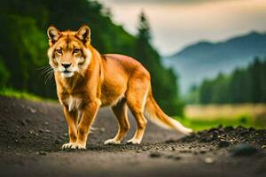 a red lion standing on the road in front of a forest. AI-Generated photo