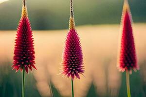 three red flowers in a field. AI-Generated photo