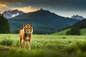 a lion is walking in the grass with mountains in the background. AI-Generated photo