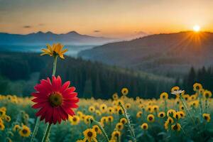 sunflower in the field at sunset. AI-Generated photo