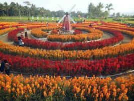 de la naturaleza vistoso prado y cama de flores. lozano campo prado con vistoso Camas de flores y vibrante rojo florece en el campo foto