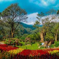 tranquilo otoño bosque montaña paisaje con floración prado y vistoso arboles vibrante otoño paisaje con vistoso flores, árboles, y montañas debajo un pacífico cielo. foto