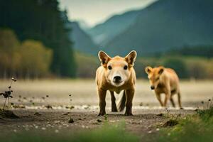 two dogs walking in the dirt near a mountain. AI-Generated photo