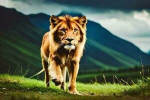 a lion walking across a grassy field. AI-Generated photo