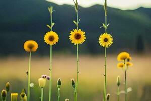 foto fondo de pantalla el cielo, flores, césped, montañas, el sol, flores, el campo,. generado por ai