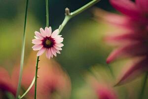 a pink flower is in the middle of a field. AI-Generated photo