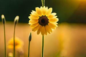 sunflower in the field, yellow, field, sun, flower, nature, hd wallpaper. AI-Generated photo