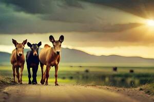 three horses walking down a dirt road. AI-Generated photo