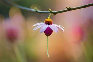 a pink flower is hanging from a branch. AI-Generated photo