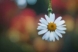 a single white daisy hanging from a string. AI-Generated photo