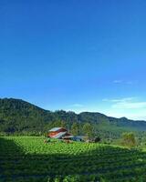 vibrante verde campos y laminación colinas debajo un azul cielo lozano campos y montañas en un hermosa rural paisaje. foto