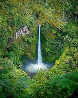 Vibrant Autumn Forest Waterfall Amidst Lush Foliage,Autumn beauty in nature, blurred motion, flowing water, lush foliage, scenic waterfall. photo