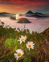 sereno Mañana paisaje majestuoso montaña paisaje con floreciente flores, claro cielo, y tranquilo agua asombroso amanecer esclarecedor montaña paisaje, vibrante flor, pacífico agua. foto