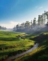 Serene Sunrise over a Vast Countryside Landscape Explore serene countryside lush green grass, mirror-like reflection, majestic trees. Breathtaking beauty. photo