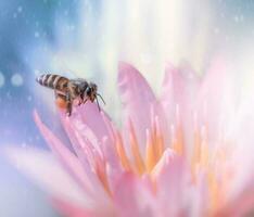 vistoso florecer belleza delicado abeja poliniza Fresco primavera flor ocupado abeja polinizando vistoso flor en naturaleza jardín, macro vista. No gente. foto
