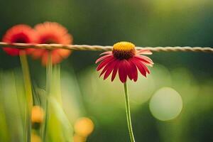 a red flower is standing on a wire. AI-Generated photo