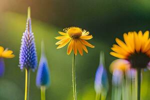 un campo de amarillo y azul flores en el Dom. generado por ai foto