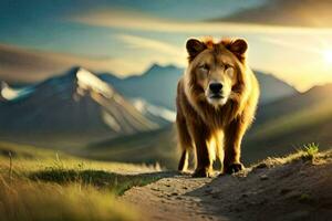 un león caminando en un camino en el montañas. generado por ai foto