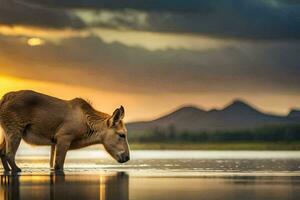 a young deer is standing in the water at sunset. AI-Generated photo