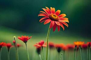 un soltero rojo flor soportes fuera en el medio de un campo. generado por ai foto