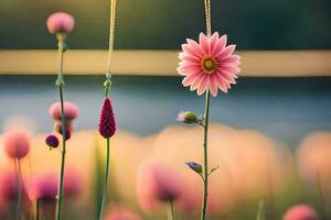 pink flowers in a field with a sunset in the background. AI-Generated photo