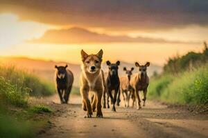 a dog walking in front of a herd of cattle. AI-Generated photo