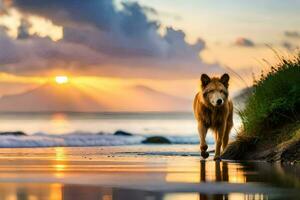 a dog walking on the beach at sunset. AI-Generated photo