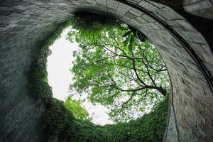 High angle view of round shape structure with branches of trees in background photo