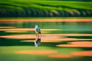 a bird standing on the water with green leaves. AI-Generated photo