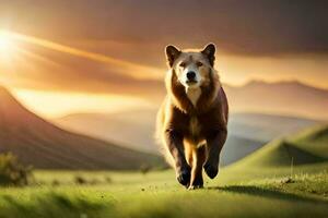 un marrón perro corriendo a través de un campo a puesta de sol. generado por ai foto