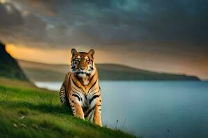 a tiger is sitting on the grass near the water. AI-Generated photo