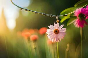 pink flowers hanging from a wire in a field. AI-Generated photo