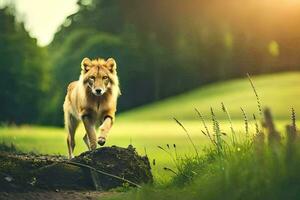 a wolf walking across a field. AI-Generated photo