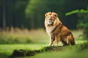 a lion sitting on a grassy hill in the middle of a forest. AI-Generated photo