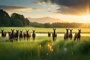 a herd of horses in a field at sunset. AI-Generated photo