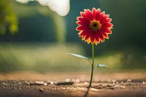 a single red flower is growing out of the ground. AI-Generated photo