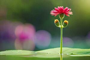 a single flower is standing on top of a leaf. AI-Generated photo