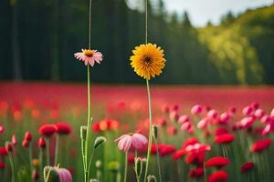 dos flores colgando desde un cuerda en un campo. generado por ai foto