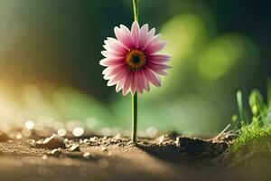 a single pink flower is standing in the dirt. AI-Generated photo