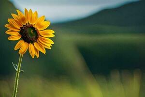 a single sunflower stands in the middle of a field. AI-Generated photo