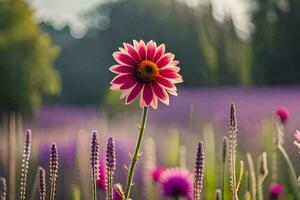 un soltero rosado flor soportes fuera en un campo de púrpura flores generado por ai foto