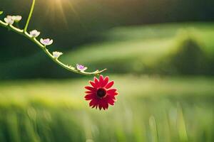 a red flower is hanging from a vine in a field. AI-Generated photo