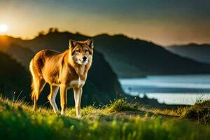 a wolf stands on a hill overlooking the ocean at sunset. AI-Generated photo