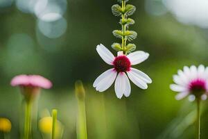 un blanco y rosado flor es colgando desde un planta. generado por ai foto